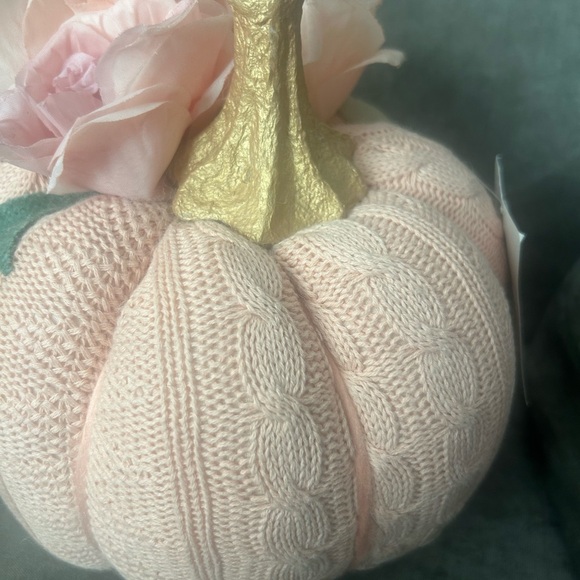 new - Holiday Fall Pumkin Decor - Picture 7 of 7
